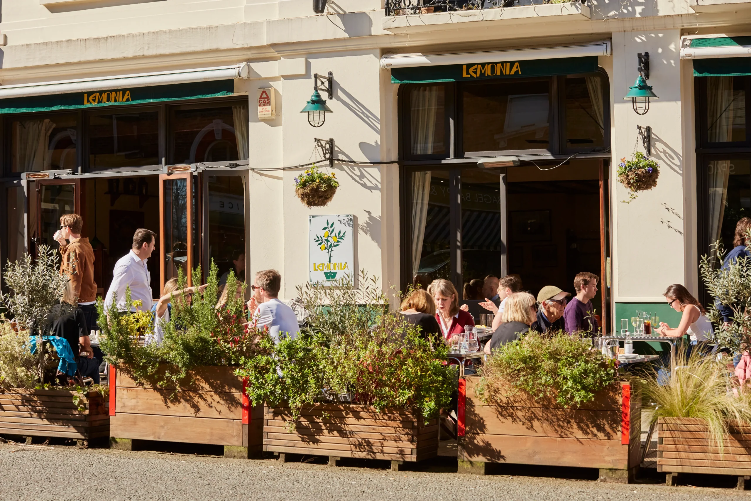 Lemonia, Primrose Hill